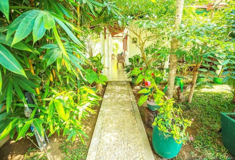 فندق Nehansa Resort And Safari