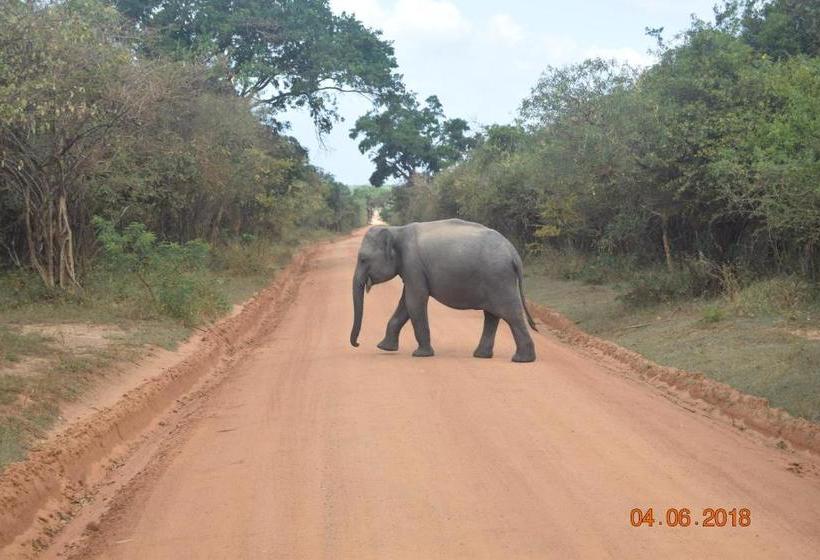 فندق Nehansa Resort And Safari