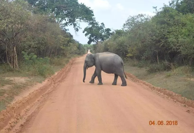 Hotelli Nehansa Resort And Safari