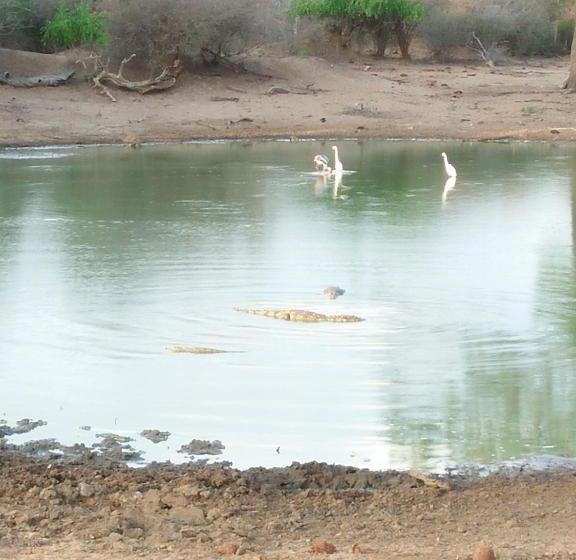 فندق Nehansa Resort And Safari