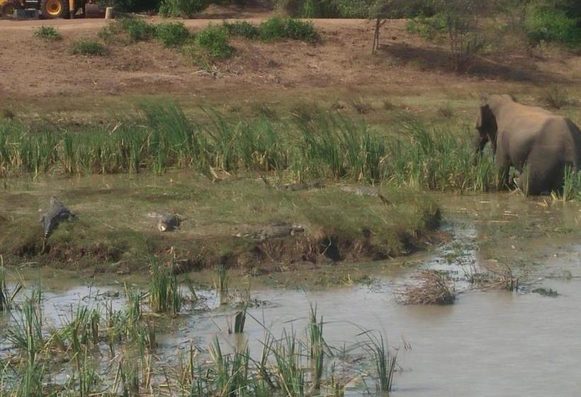 فندق Nehansa Resort And Safari