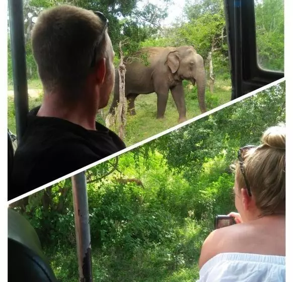 Hotelli Nehansa Resort And Safari