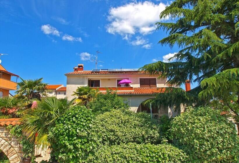 Apartments Ivanka 378