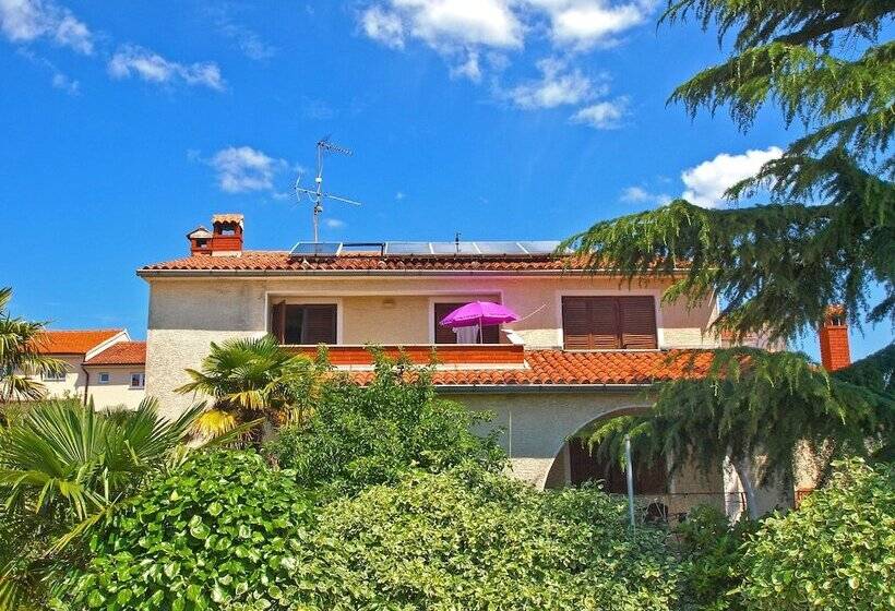 Apartments Ivanka 378