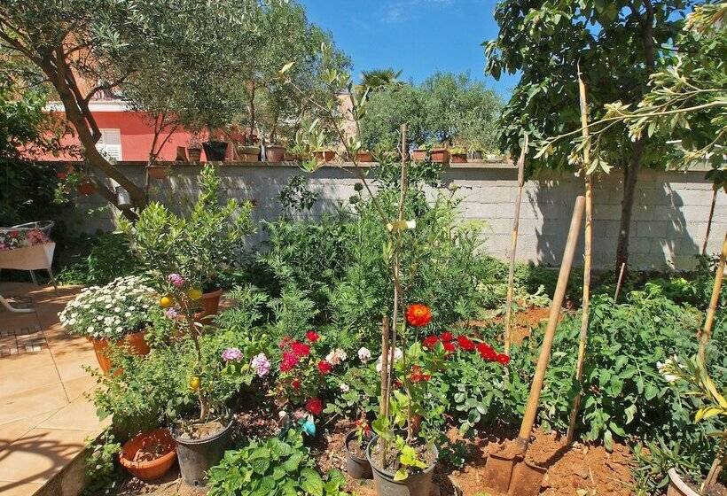 Apartments Ivanka 378