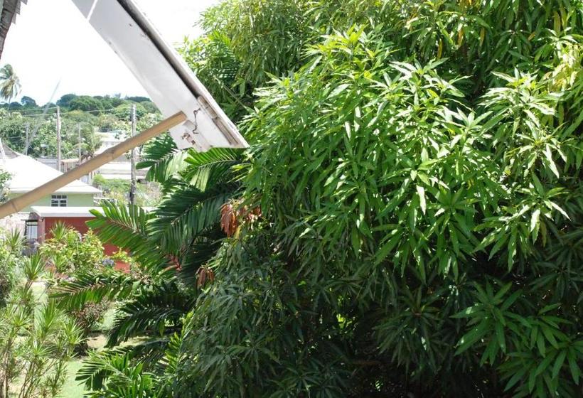 پانسیون Charming Old World Apartment