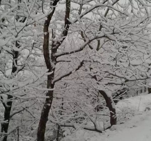 Hotelli Kedros Chalet