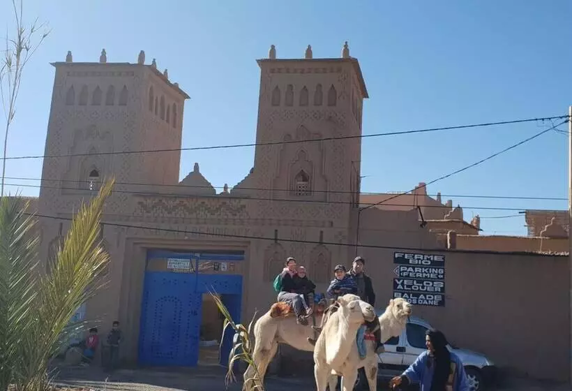 Majatalo Gite Kasbah La Palmeraie