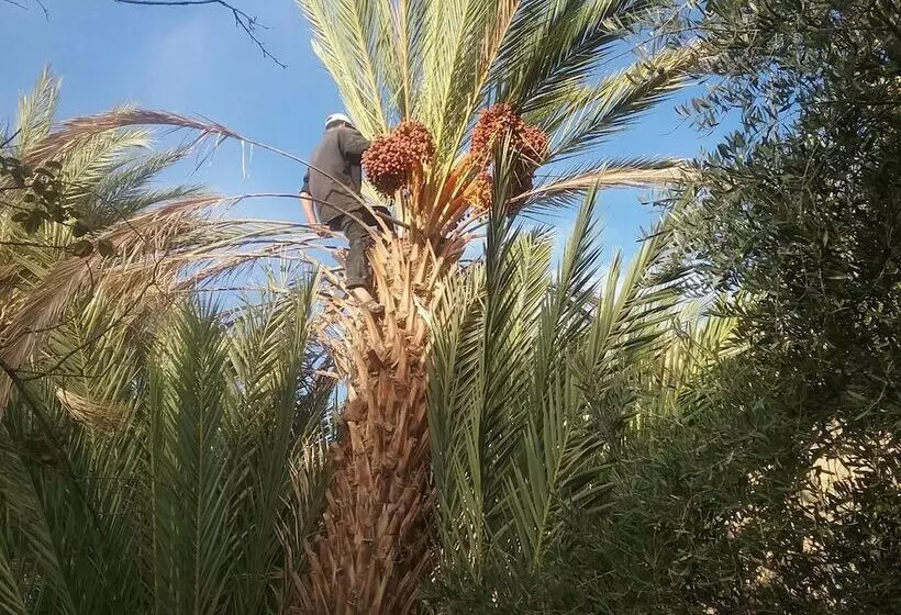 Majatalo Gite Kasbah La Palmeraie
