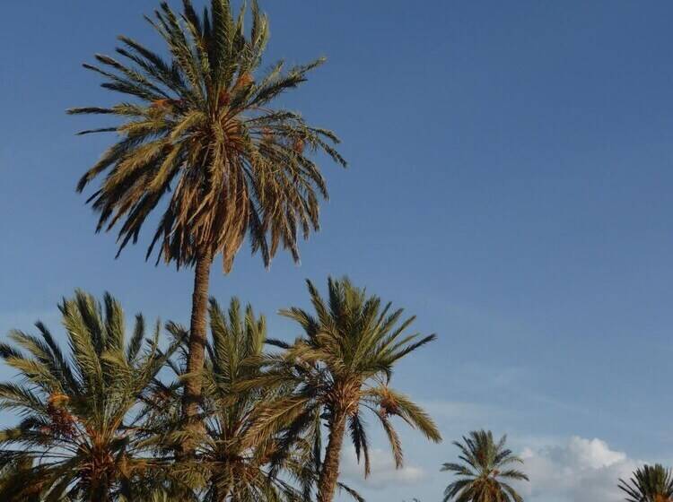 膳宿费 Gite Kasbah La Palmeraie