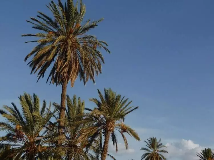 Majatalo Gite Kasbah La Palmeraie
