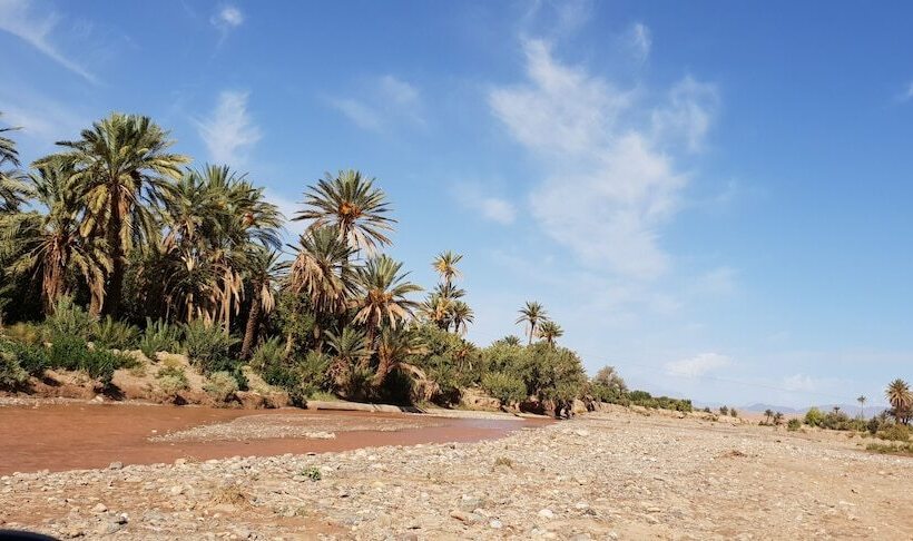 膳宿费 Gite Kasbah La Palmeraie