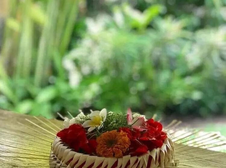 Majatalo Kailash Bali