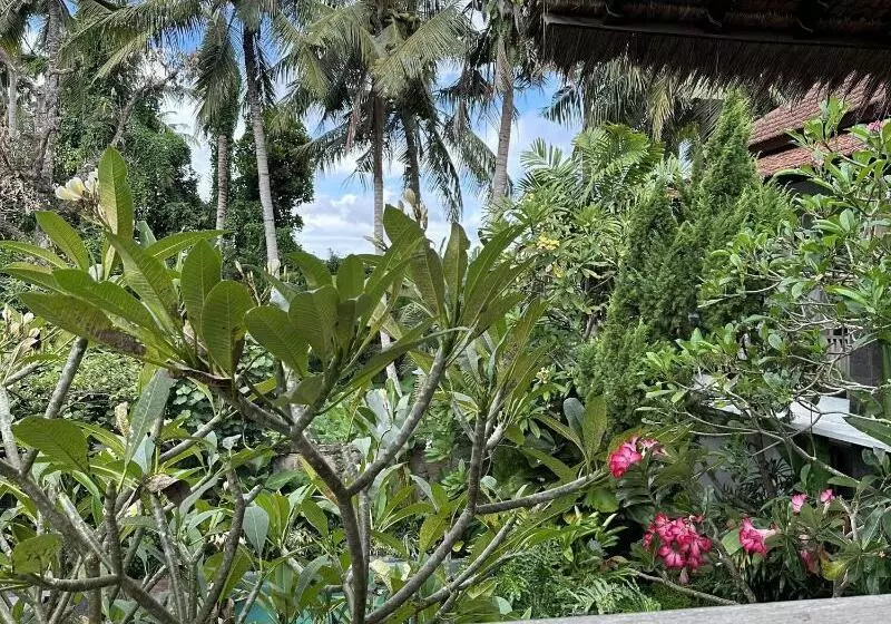 Majatalo Kailash Bali