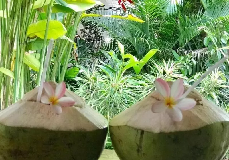 Majatalo Kailash Bali