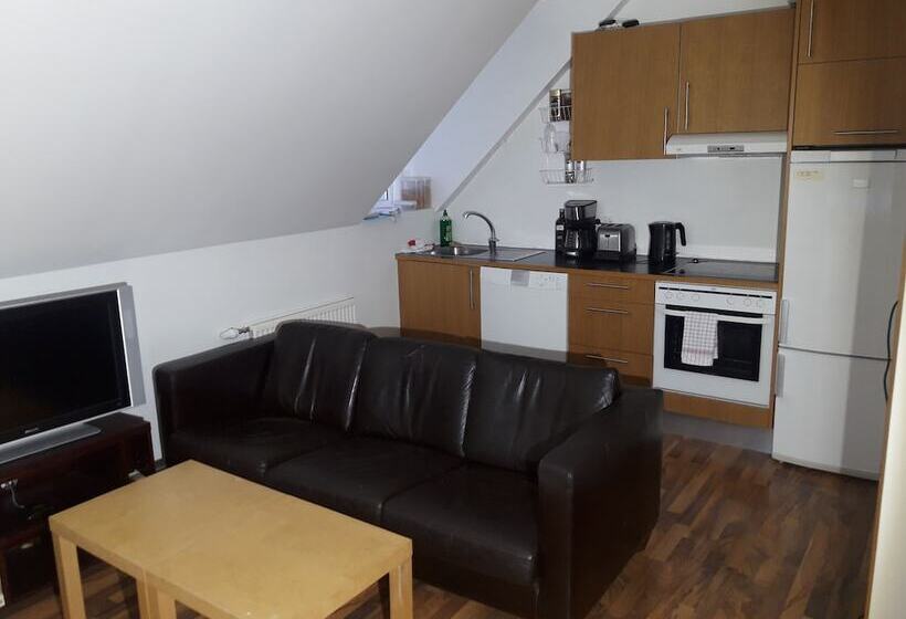 پانسیون Mánagisting Guesthouse