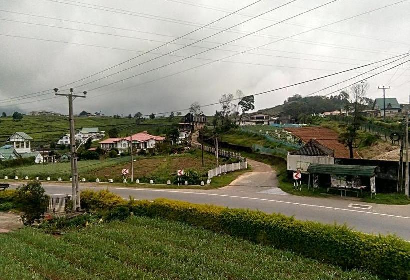 פנסיון Rose Magnolia Guest