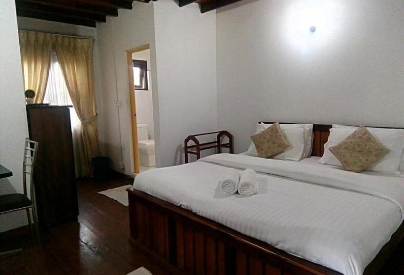 פנסיון Rose Magnolia Guest