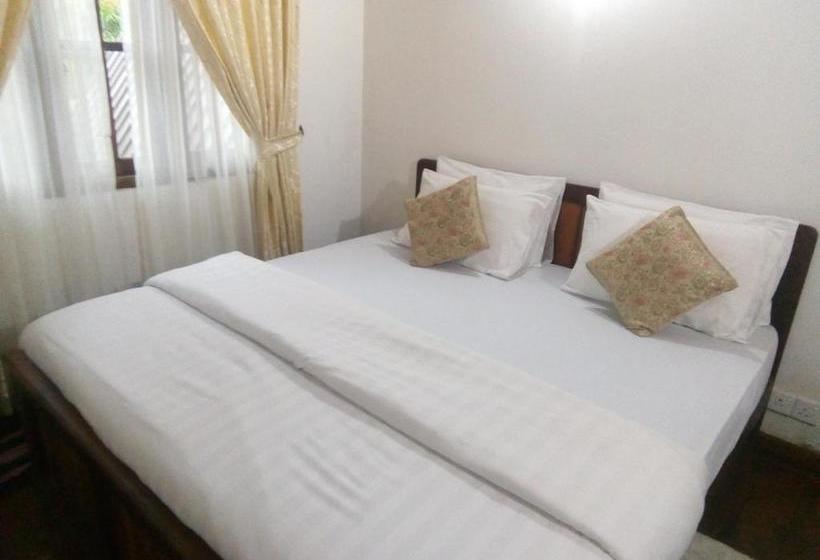 פנסיון Rose Magnolia Guest