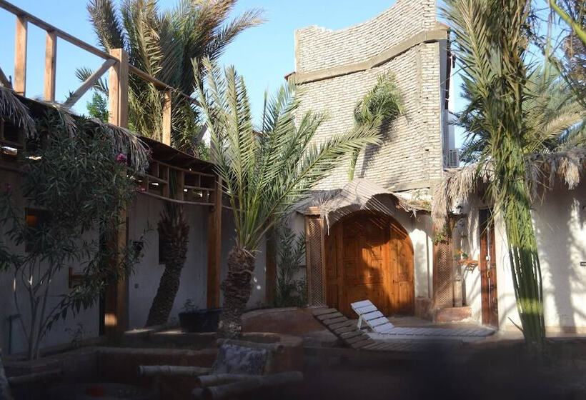 فندق صغير Bishbishi Camp Dahab