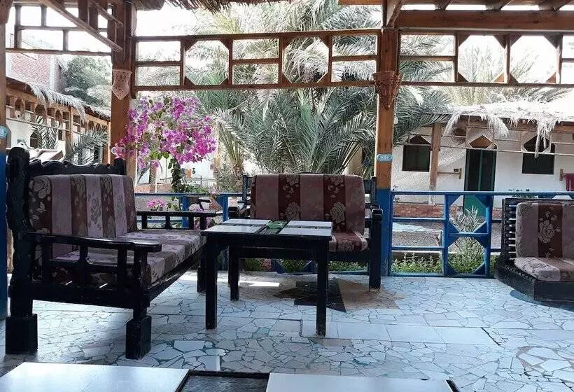 Retkeilymaja Bishbishi Camp Dahab