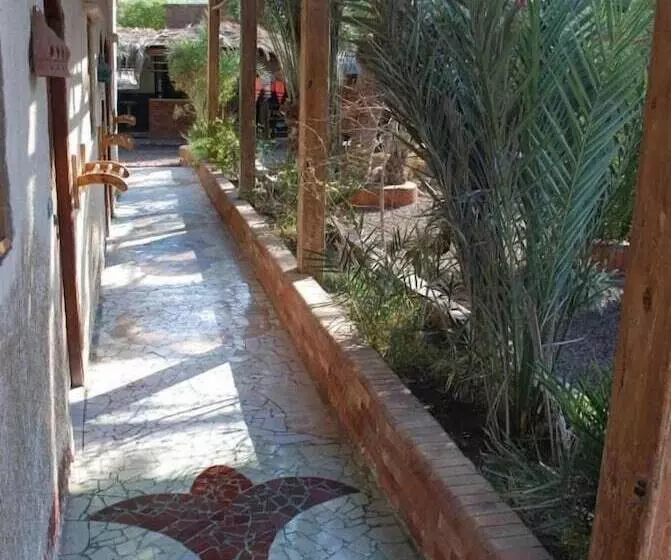 Retkeilymaja Bishbishi Camp Dahab