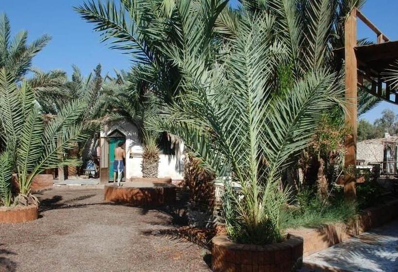 فندق صغير Bishbishi Camp Dahab