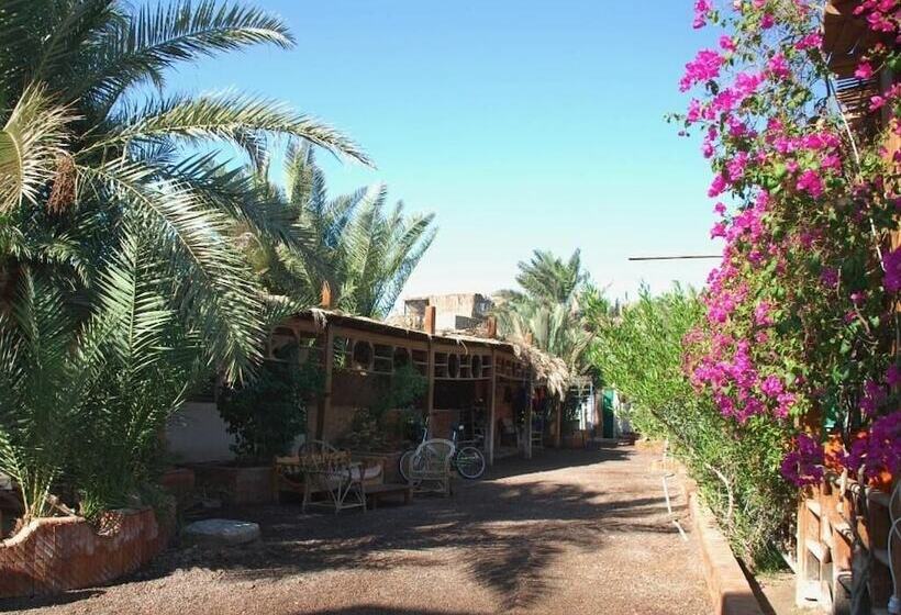 فندق صغير Bishbishi Camp Dahab