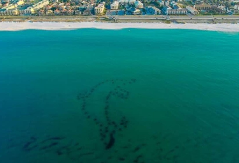 בית מלון כפרי La Quinta Inn & Suites By Wyndham Miramar Beachdestin