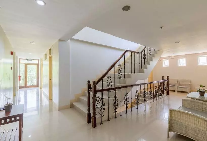 ホテル Metro Vigan Inn