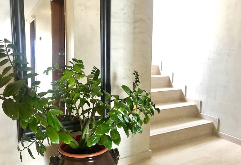 پانسیون Angulo House