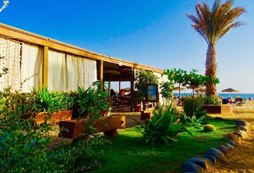 پانسیون Angulo House