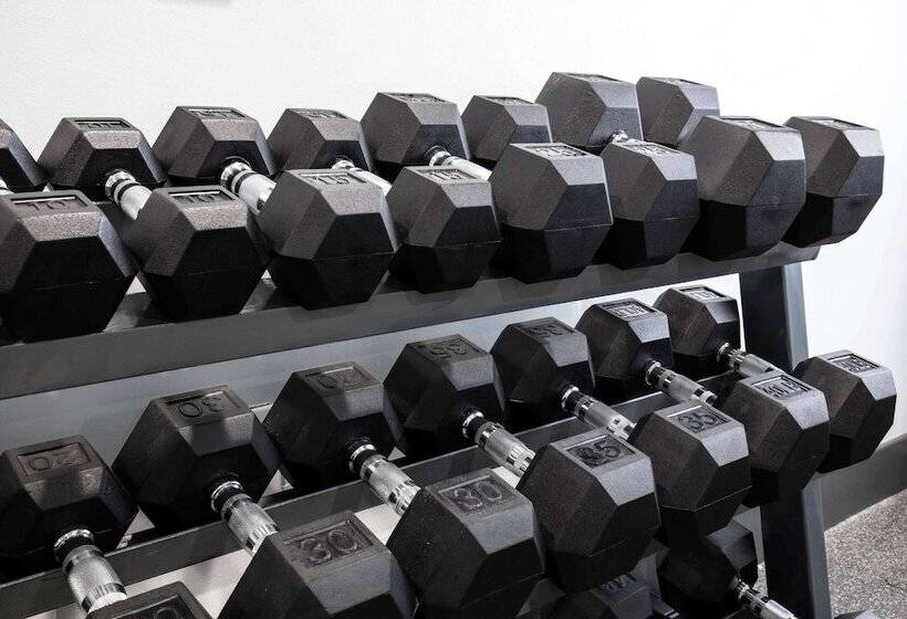 فندق La Quinta Inn And Suites By Wyndham Long Island City