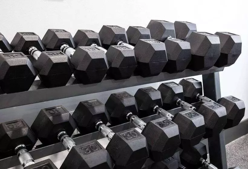 Hotelli La Quinta Inn And Suites By Wyndham Long Island City