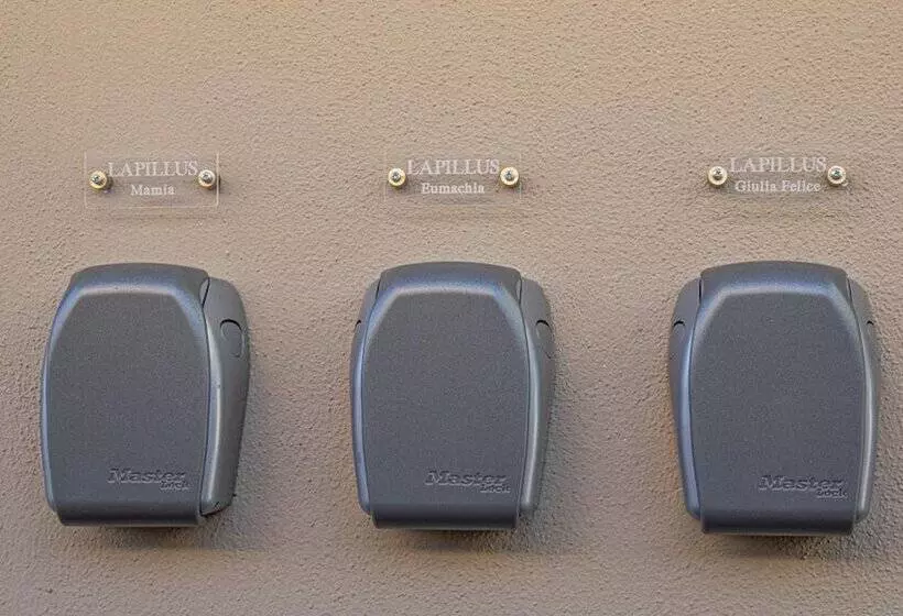 B&b Lapillus