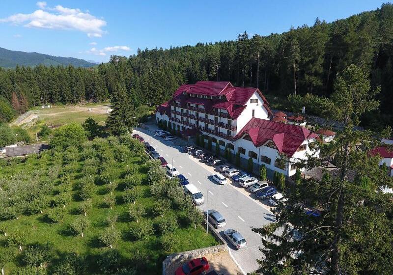 Отель Hanul Muresenilor