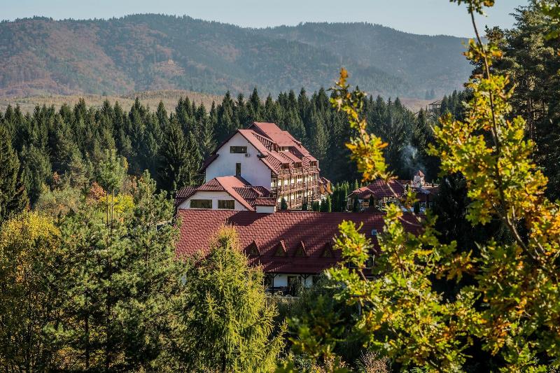 Отель Hanul Muresenilor