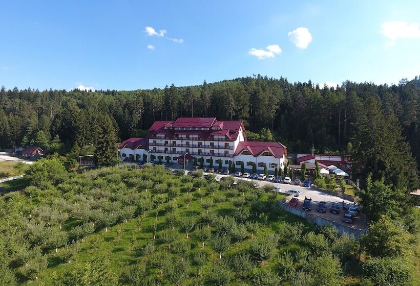 Отель Hanul Muresenilor