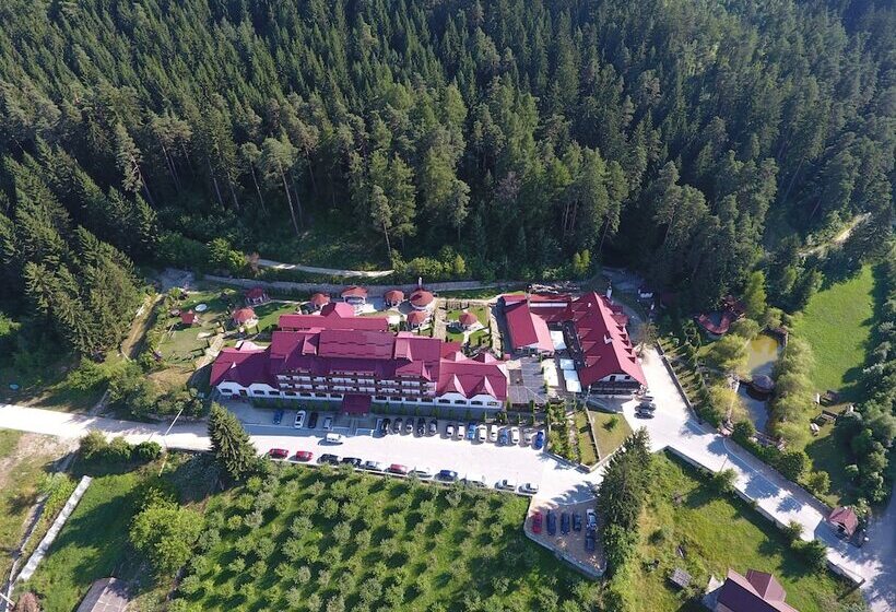 Отель Hanul Muresenilor