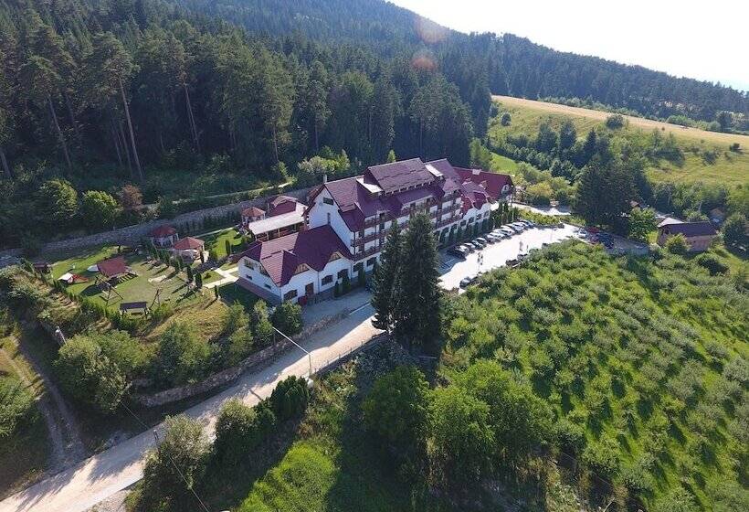 Отель Hanul Muresenilor