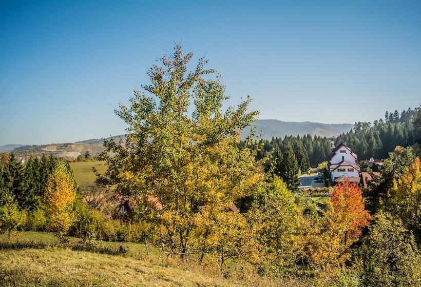 Отель Hanul Muresenilor