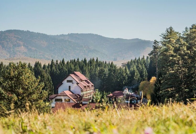 Отель Hanul Muresenilor