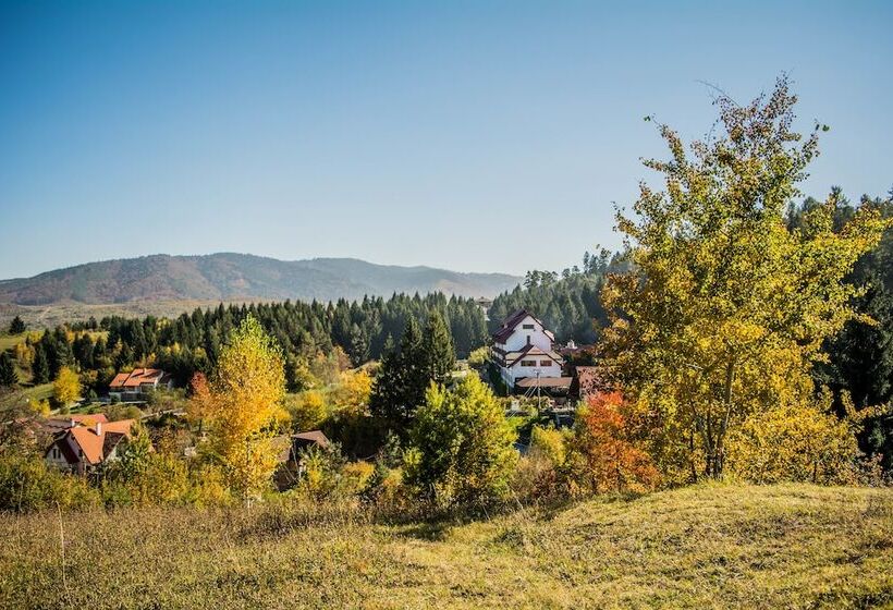 Отель Hanul Muresenilor