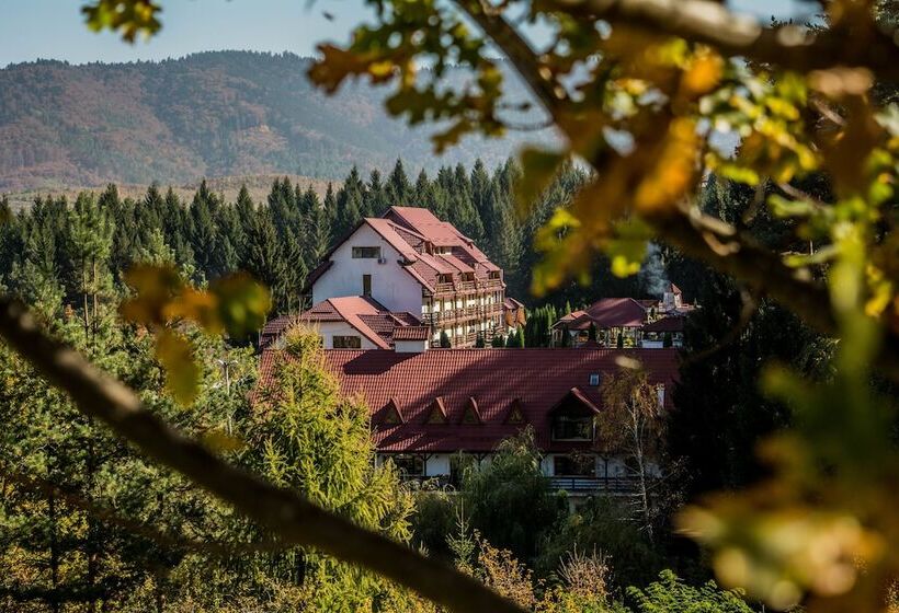 Отель Hanul Muresenilor