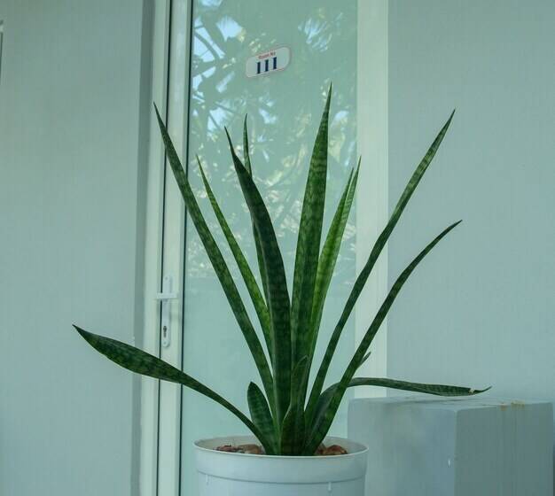 Nu Cuoi Mui Ne Hotel & Restaurant