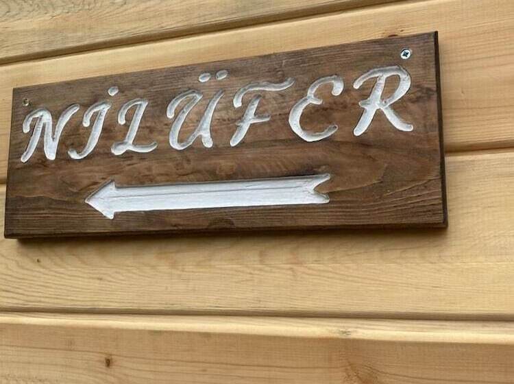 ペンション Bokesoylar Konagi