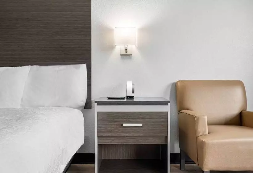 Отель Auburn Lodge Near University