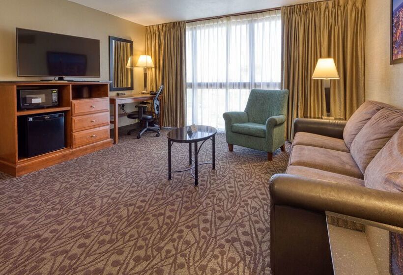 هتل Drury Inn & Suites Atlanta Airport