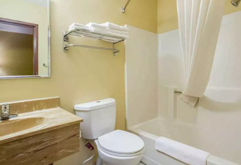 酒店 Econo Lodge Lansing Leavenworth