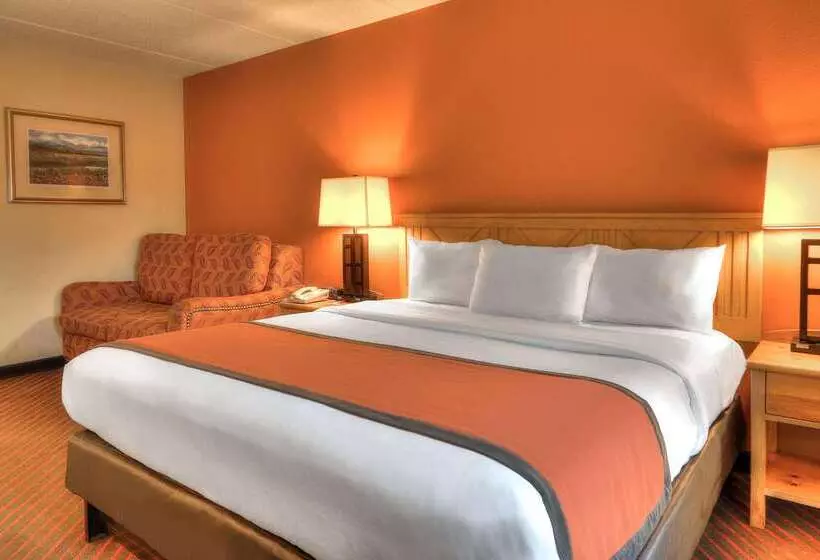 호텔 Econo Lodge Pigeon Forge Riverside